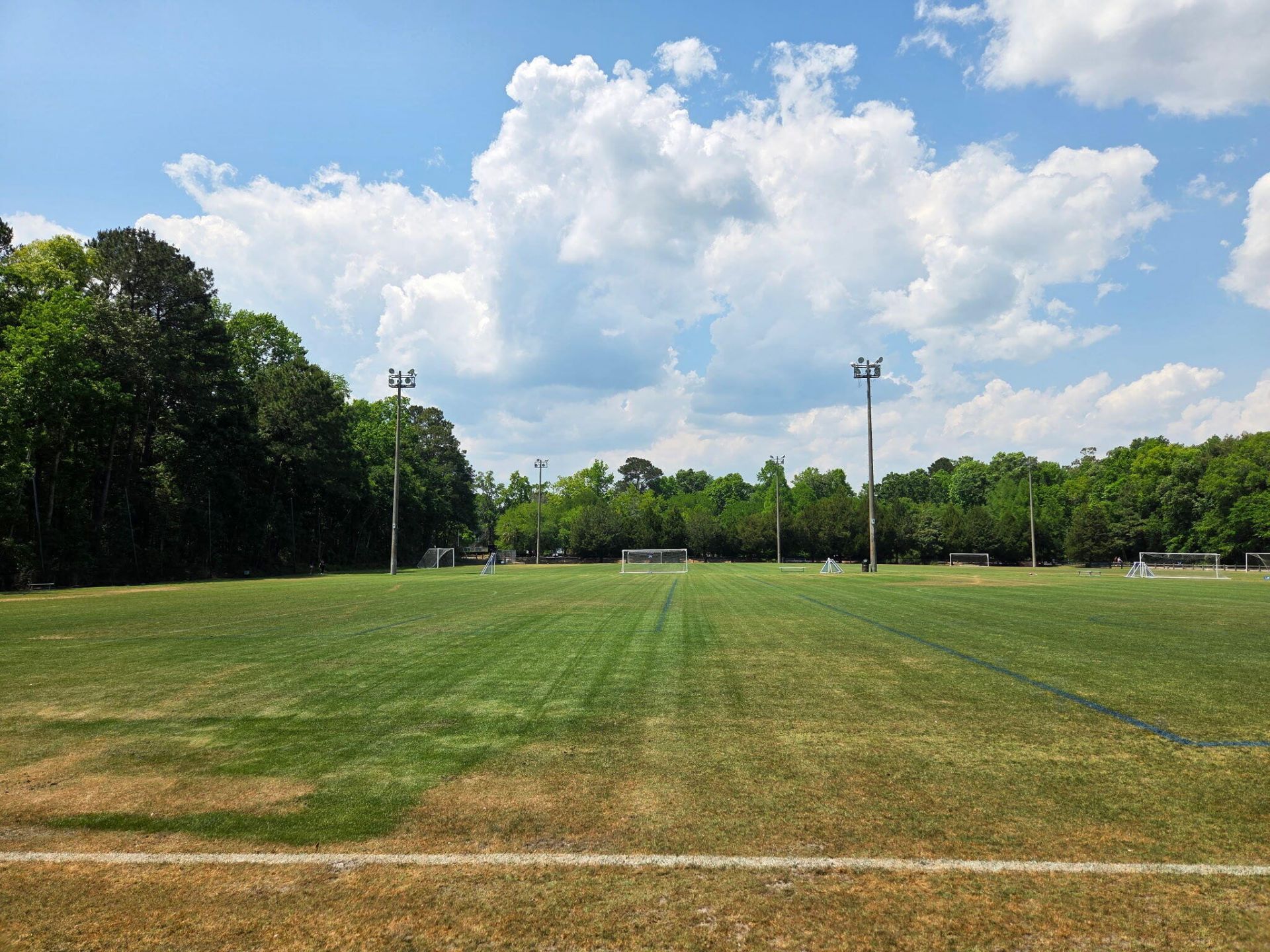 1813 Overrun Street Photo 44