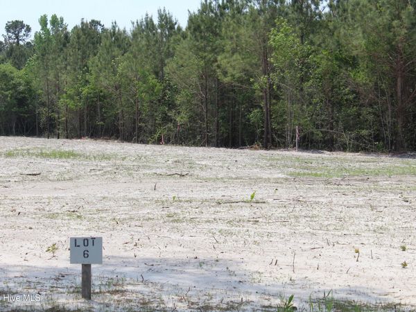 958 Blind Bridge Road , Magnolia, NC 28453