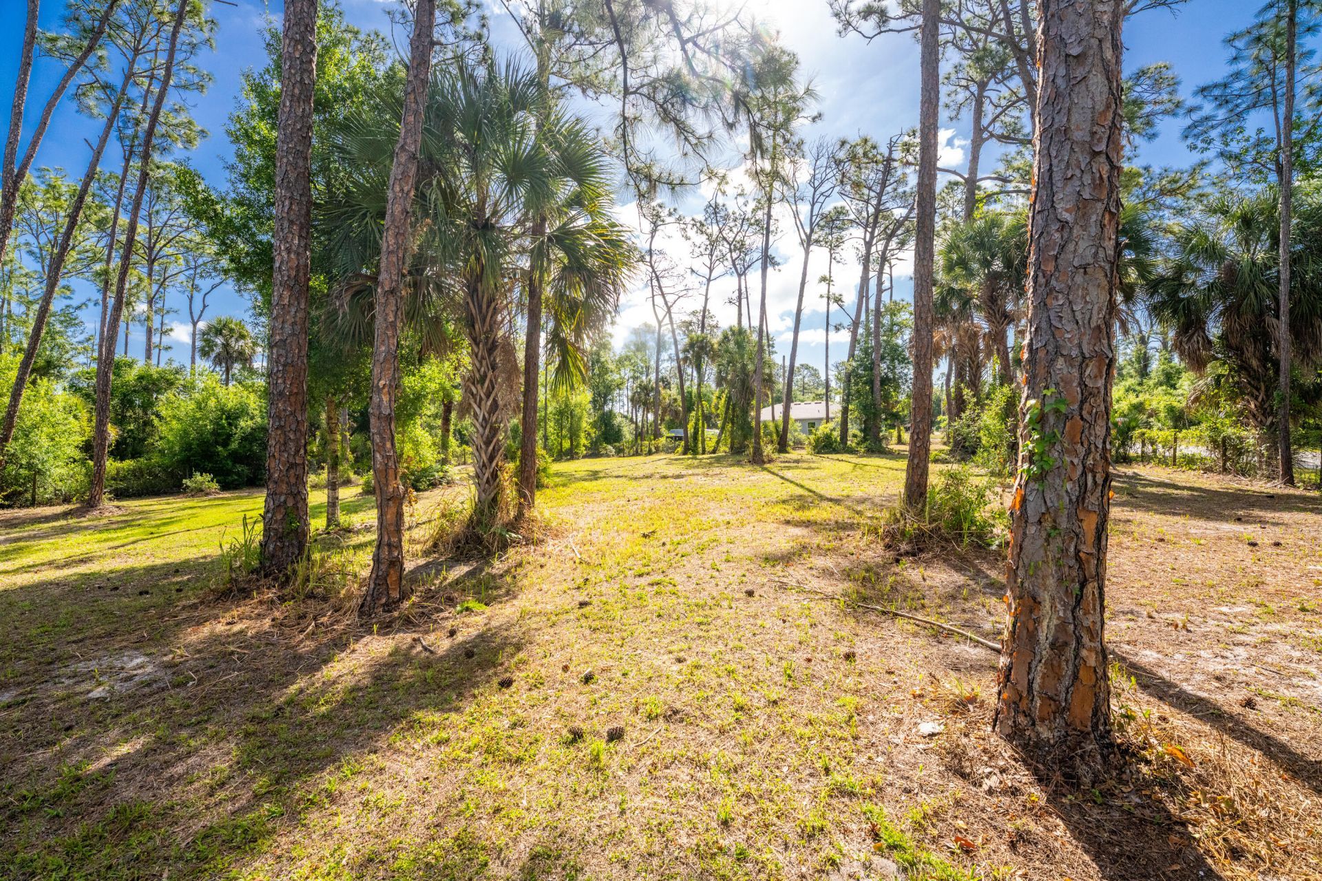 4286 Cobbler Lane, North Port, FL 34286 Photo