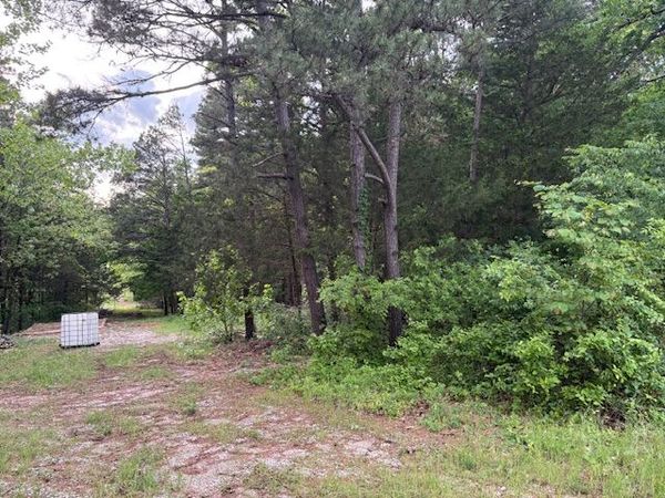 23029 Old Hwy 65 , Omaha, AR 72662