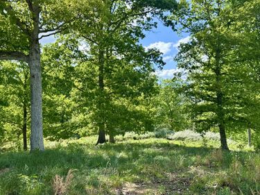 119 Hawk , Unit Tract 23, London, KY 40741