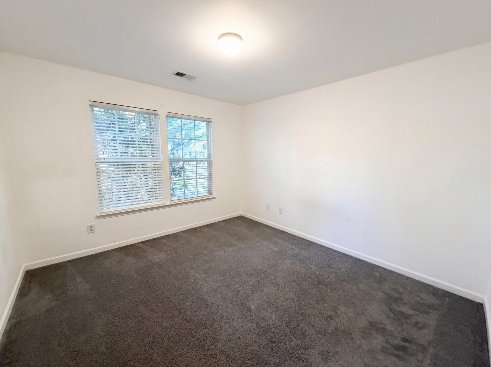 8692 Hickory Creek Court Photo 18