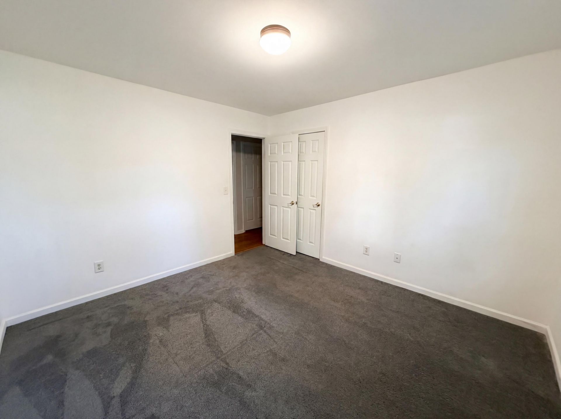 8692 Hickory Creek Court Photo 19