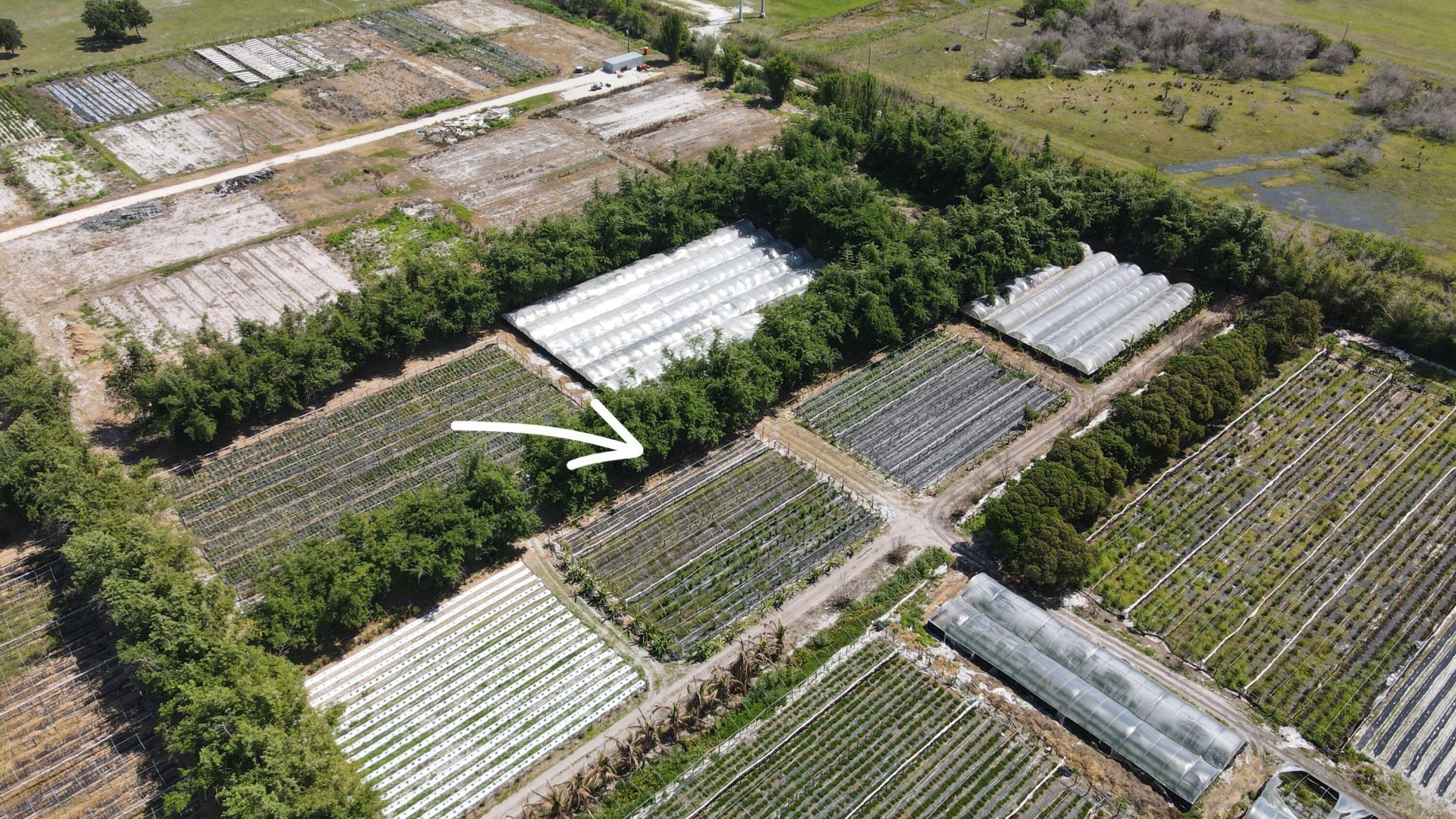 11931 SW Fox Brown Road, Indiantown, FL 34956 Photo