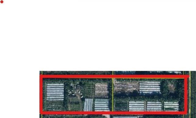 11931 SW Fox Brown Road, Indiantown, FL 34956 Photo