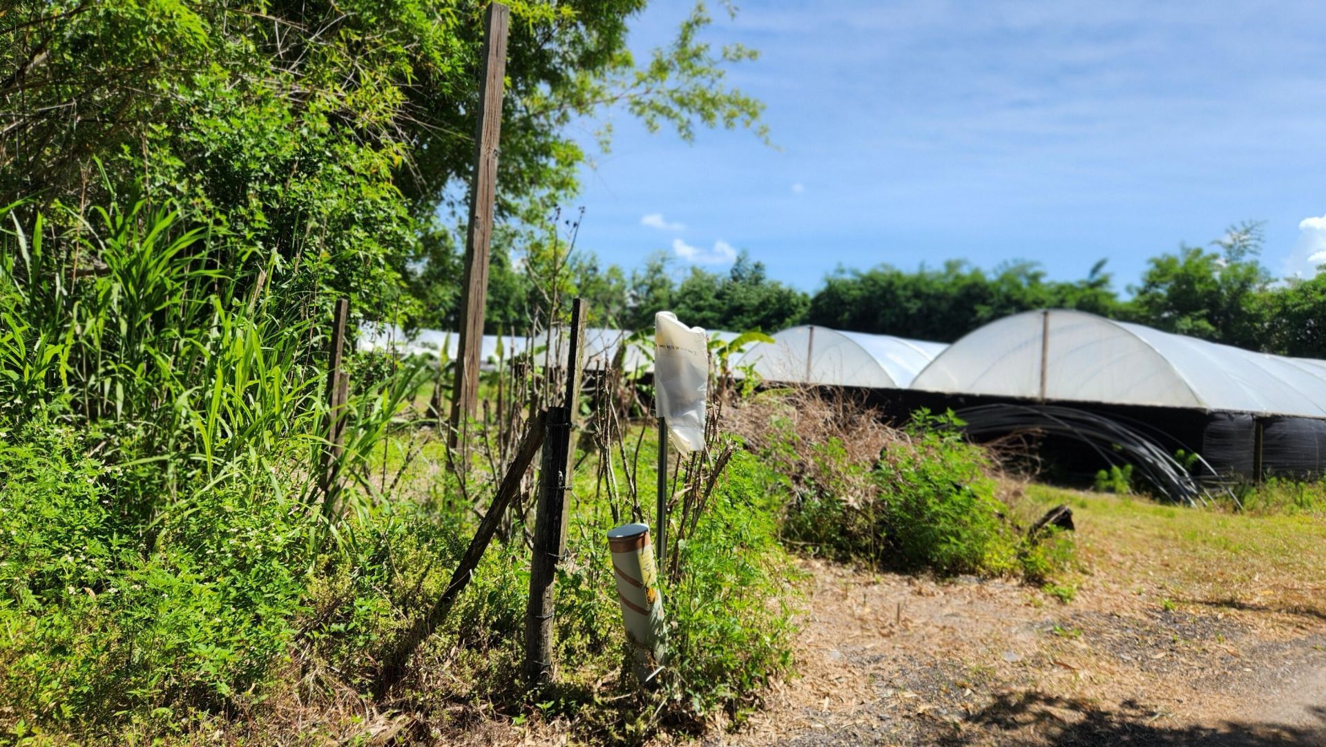 11931 SW Fox Brown Road, Indiantown, FL 34956 Photo