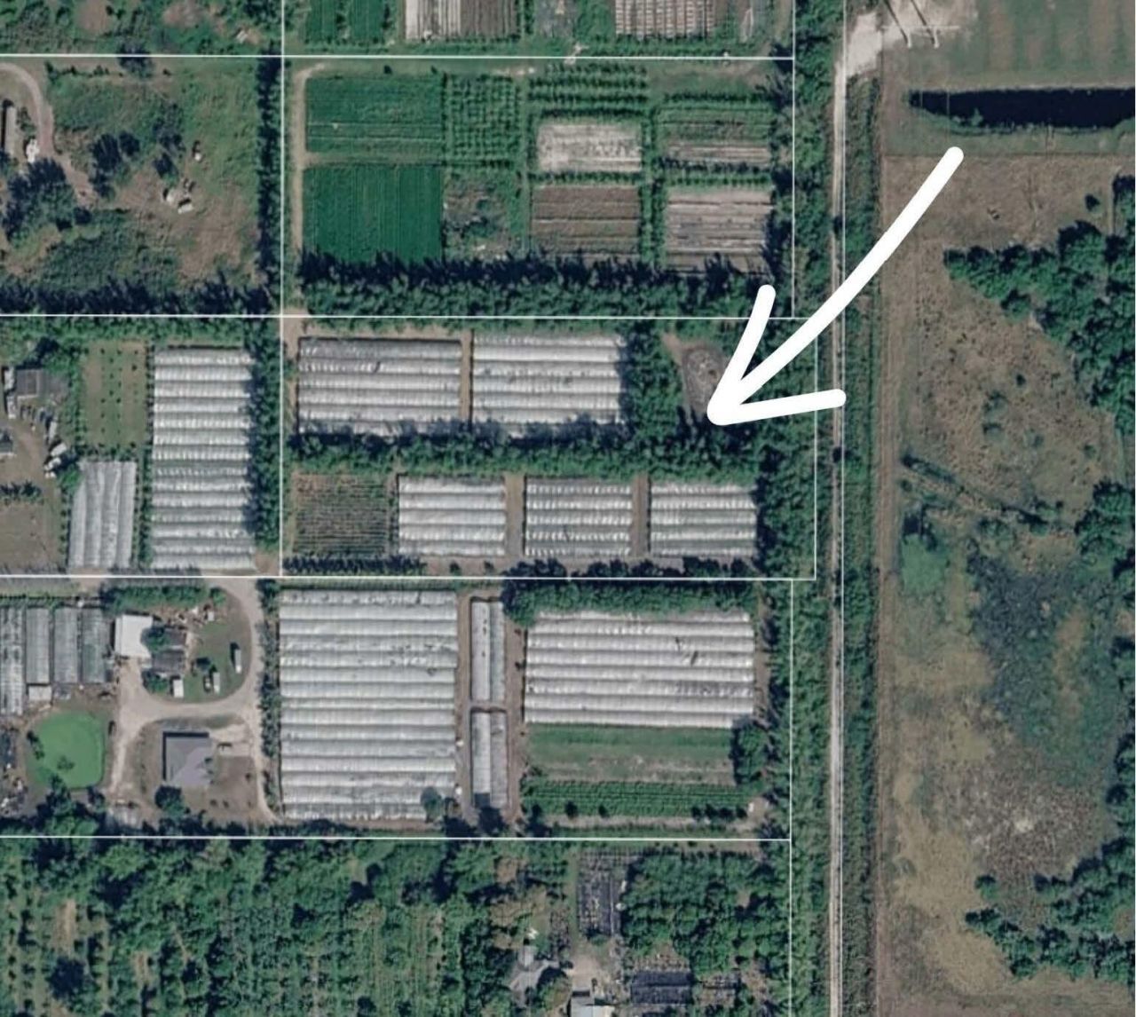 11931 SW Fox Brown Road, Indiantown, FL 34956 Photo