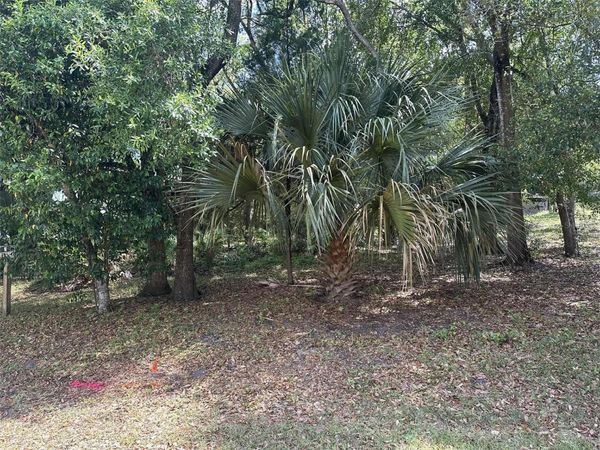 E ELM DRIVE , ORANGE CITY, FL 32763