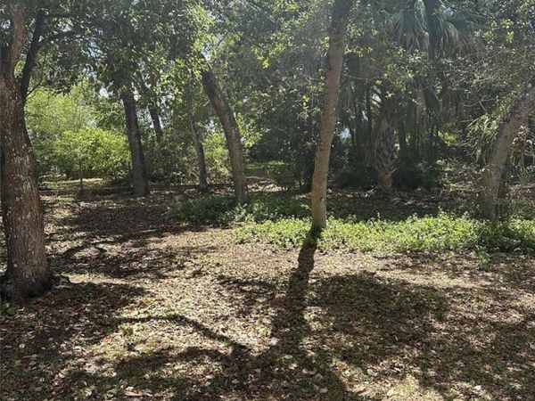 E ELM DRIVE , ORANGE CITY, FL 32763