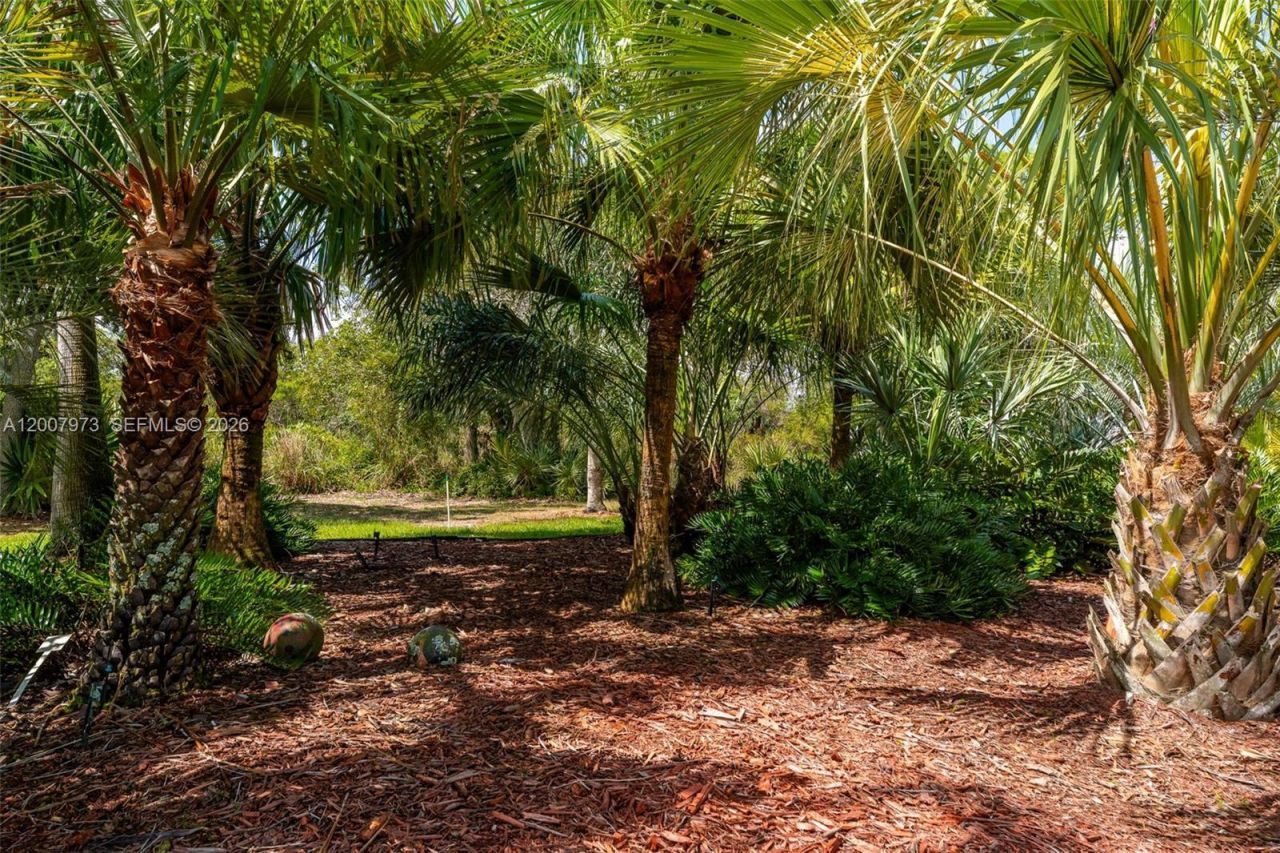 256 Cumquat Rd NW , Lake Placid, FL 33852 Photo