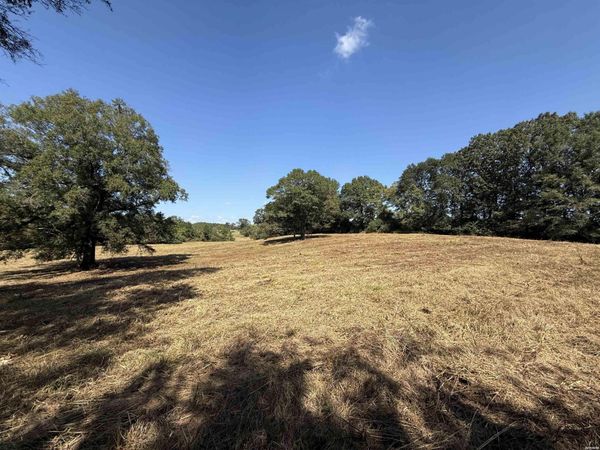 299 HARMONY LANE, Amity, AR 71921