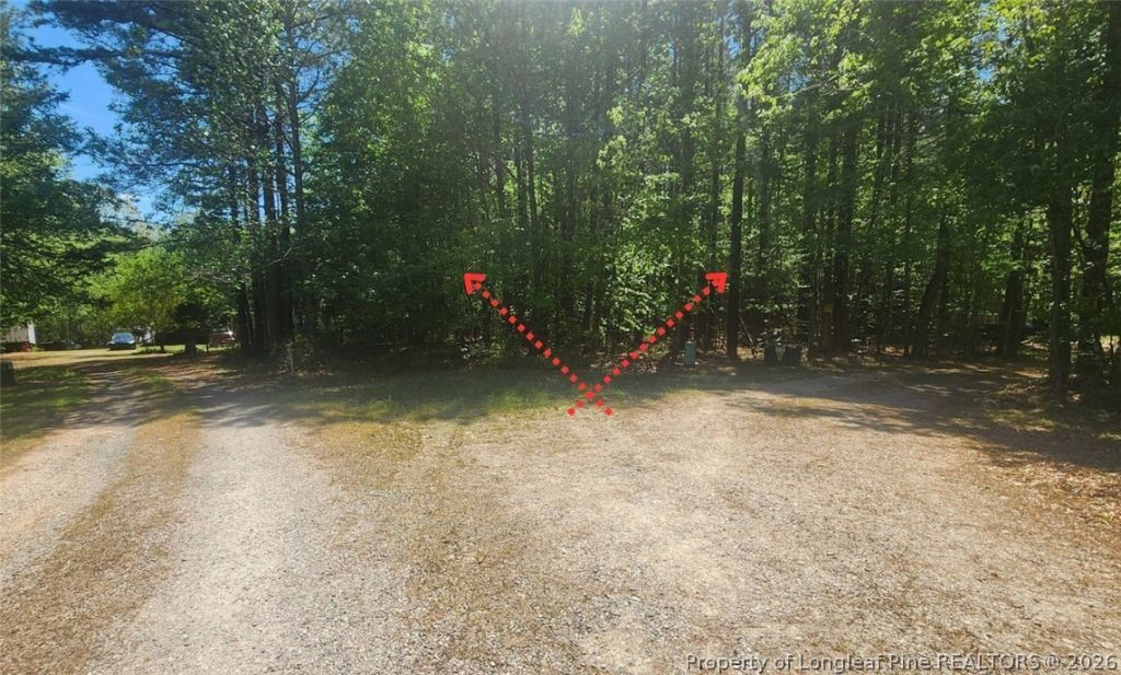 N Plantation Pines, Williamsboro, NC 27537 Main Photo