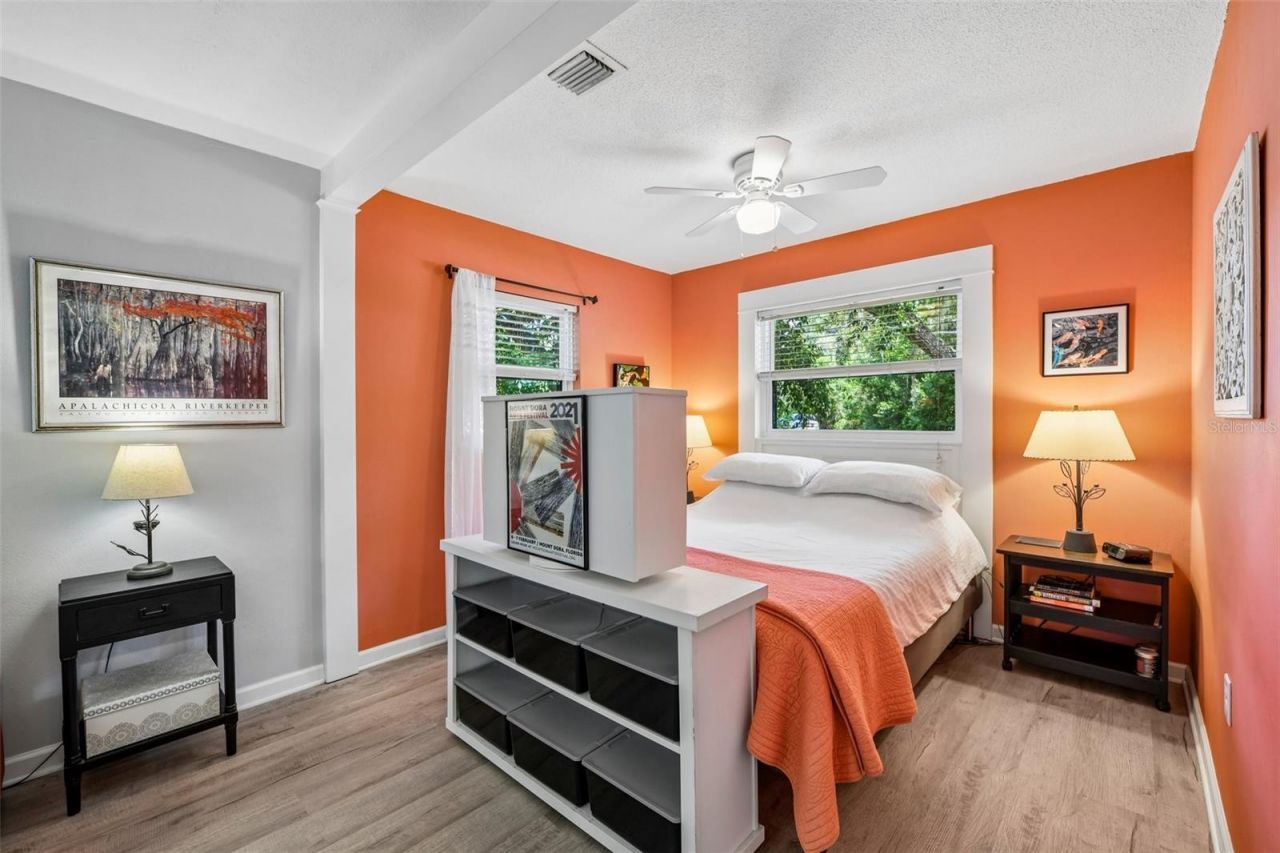 1073 Central Street, Mount Dora, FL 32757 Photo