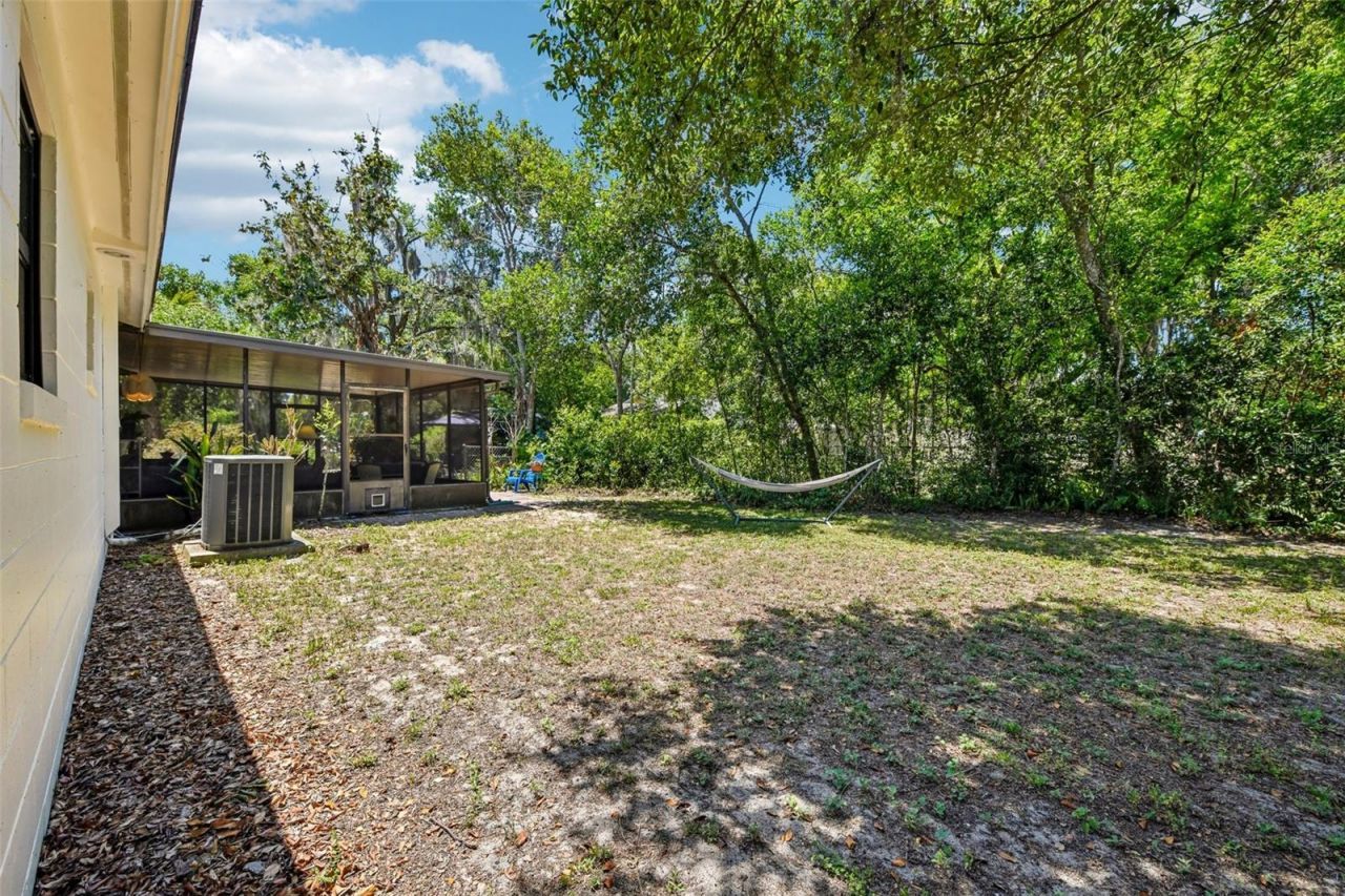 1073 Central Street, Mount Dora, FL 32757 Photo