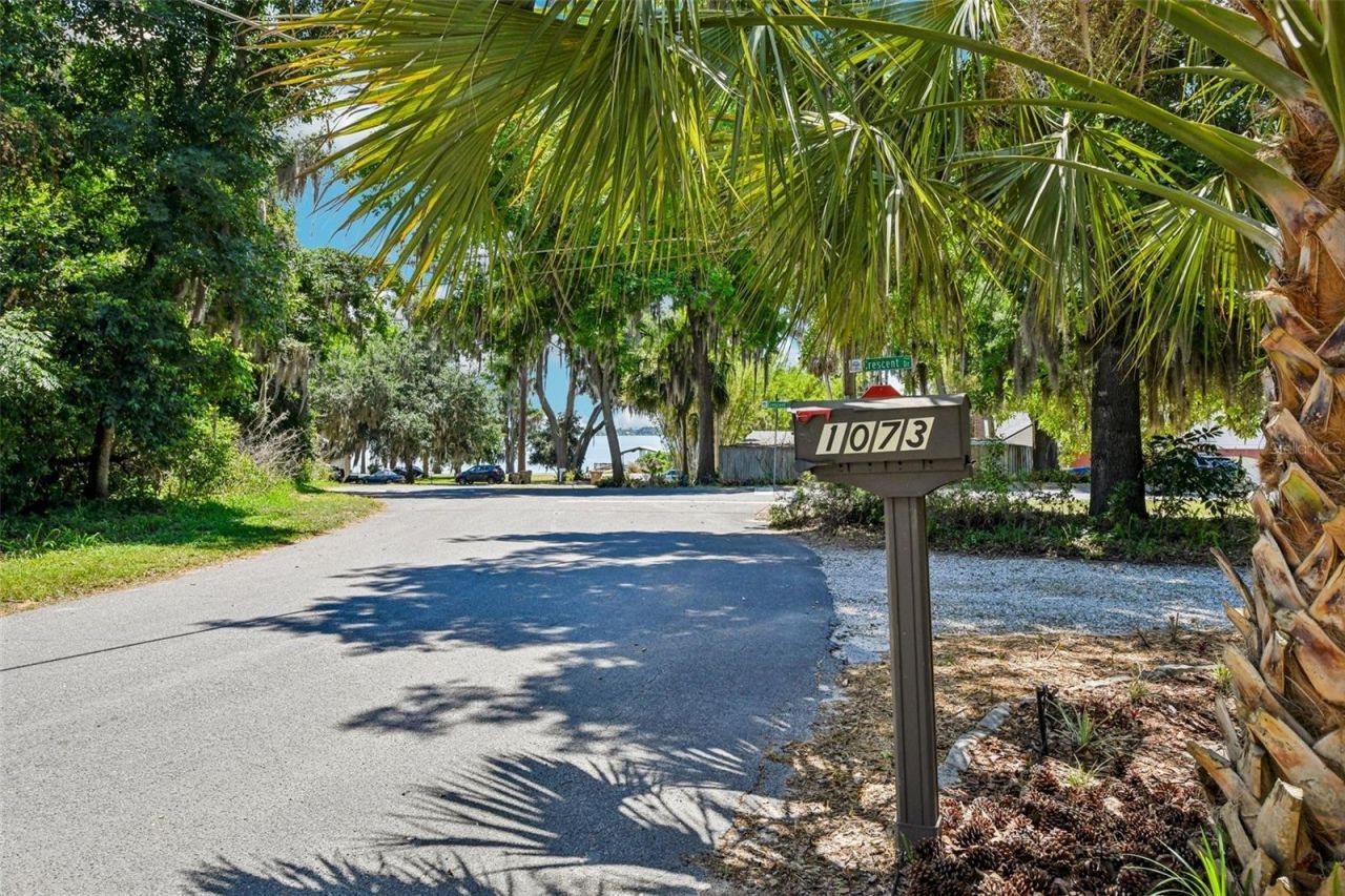 1073 Central Street, Mount Dora, FL 32757 Photo