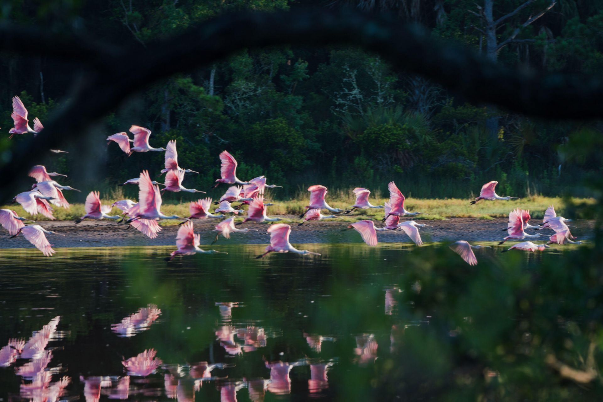 2138 Boatwright Road Photo 54