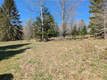 156 Akita Road, Jefferson, NY 12093