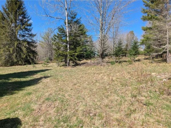 156 Akita Road, Jefferson, NY 12093