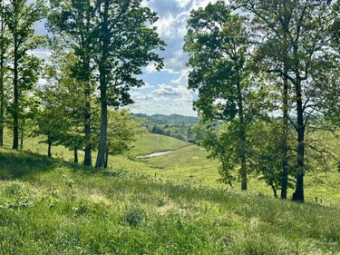 754 Pittsburg Landing , Unit Tract 26, London, KY 40741