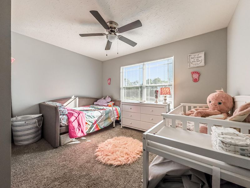 448 Eagle Creek Drive, Dry Ridge, KY 41035 Photo 14