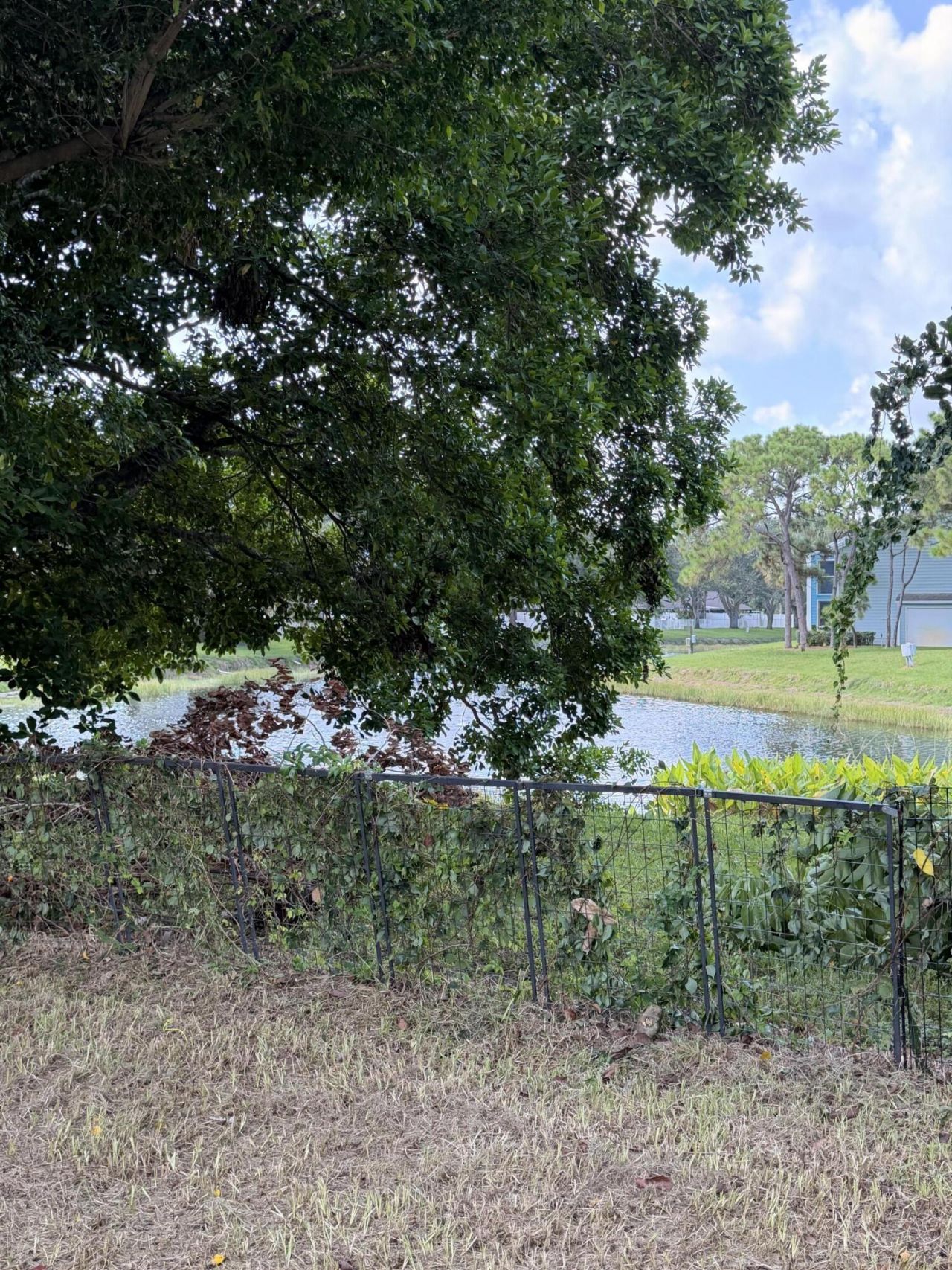 4716 Appaloosa Street, West Palm Beach, FL 33417 Photo