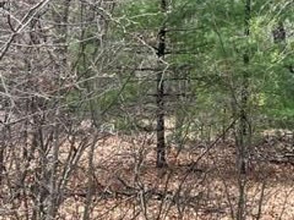 000-303 Otter Trail , Moffatt Twp, MI 48610