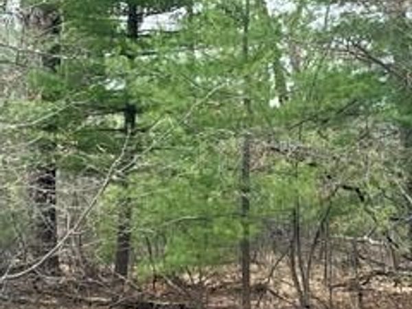 000 Otter Trail , Moffatt Twp, MI 48610