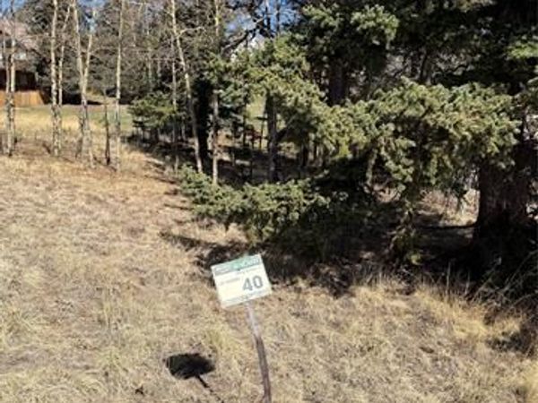405 Meadow Park Drive, Divide, CO 80814
