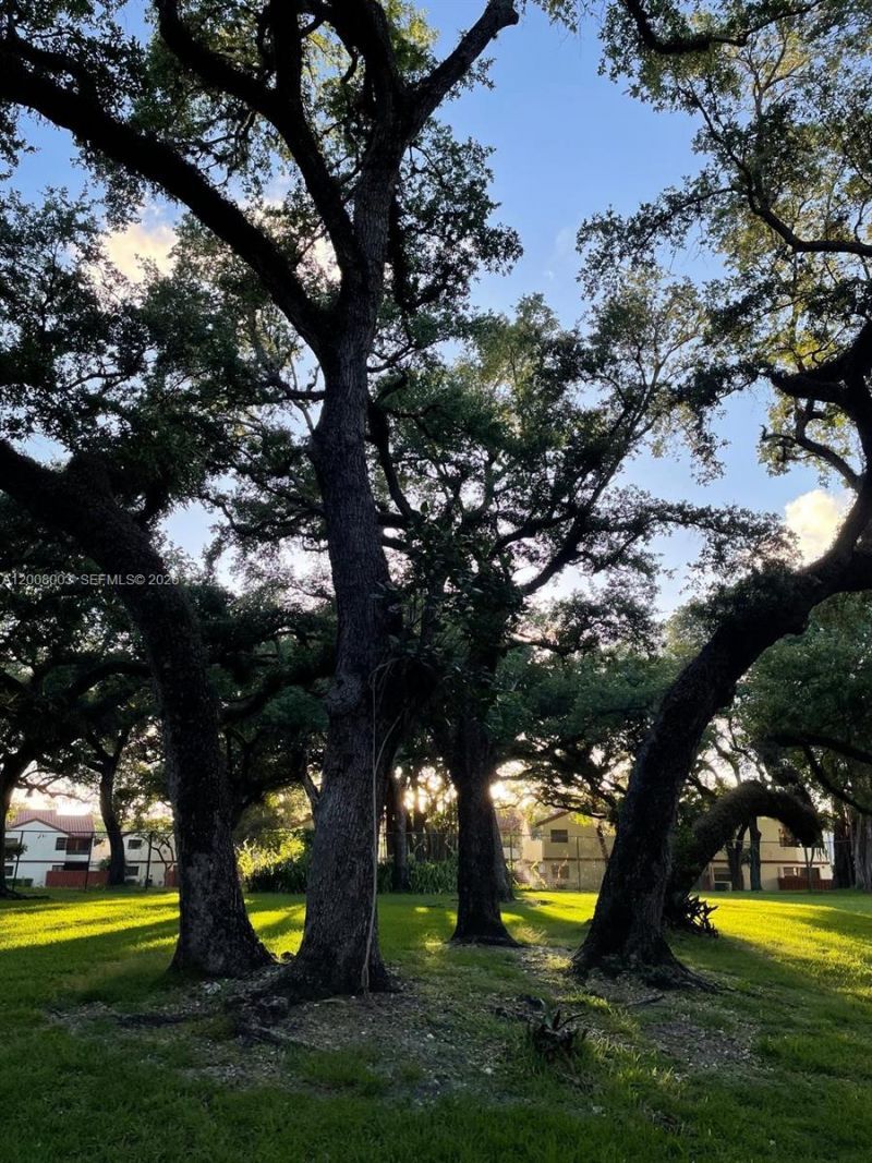 511 Ives Dairy Rd , Unit 301-6, Miami, FL 33179 Photo