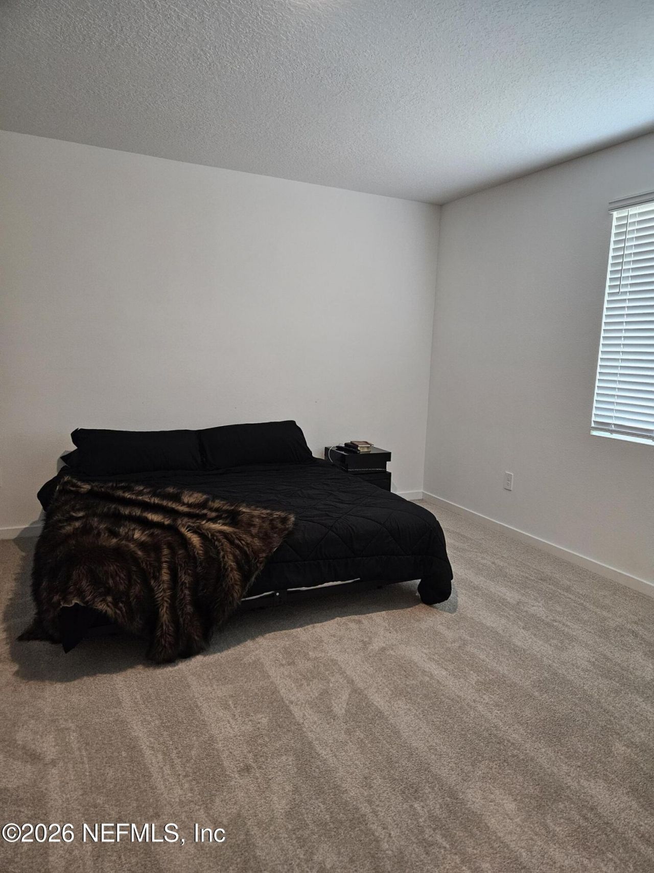 12672 Senbay Court Court, Jacksonville, FL 32218 Photo