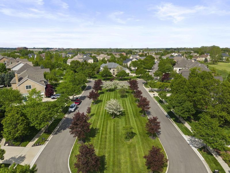 6594 Baronscourt Loop, Dublin, OH 43016 Photo 74