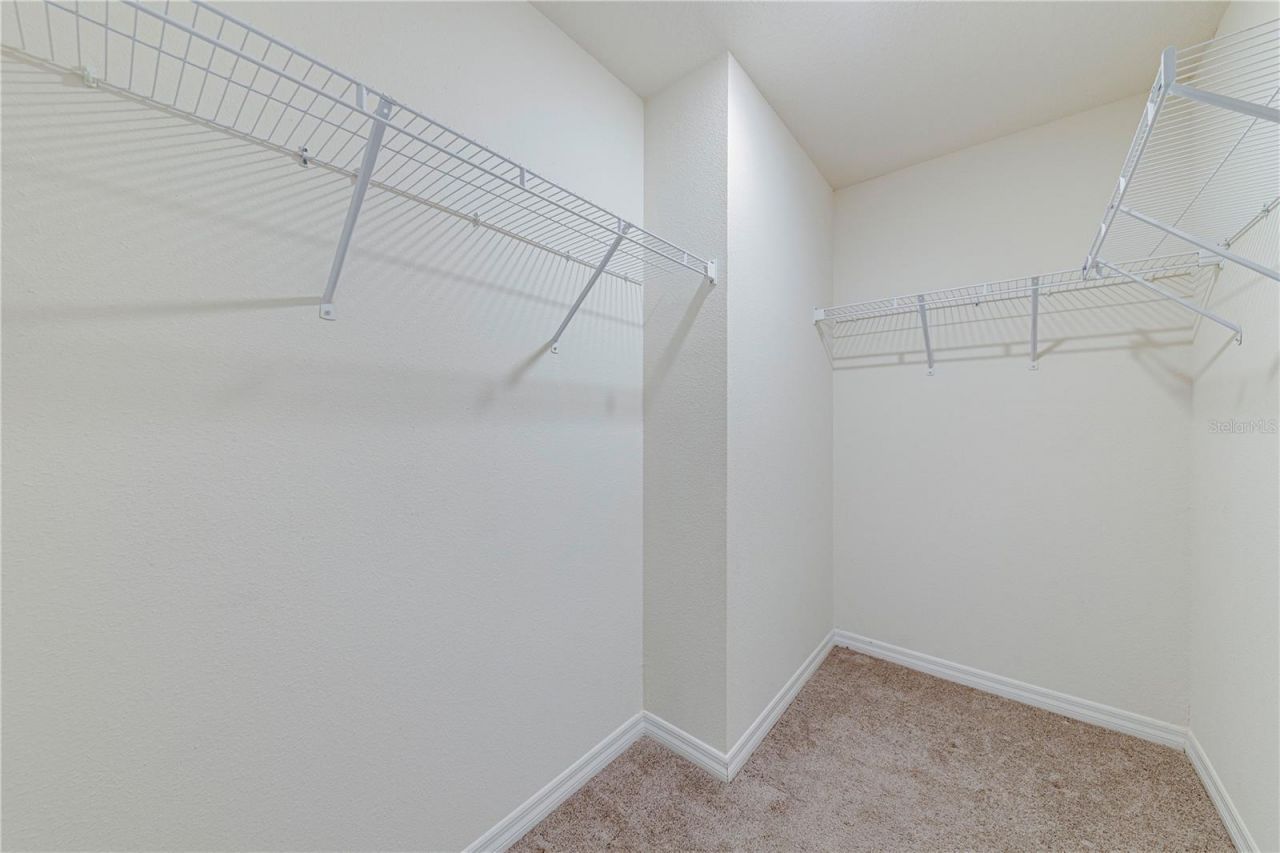 34026 Soaring Bamboo Path , Wesley Chapel, FL 33543 Photo