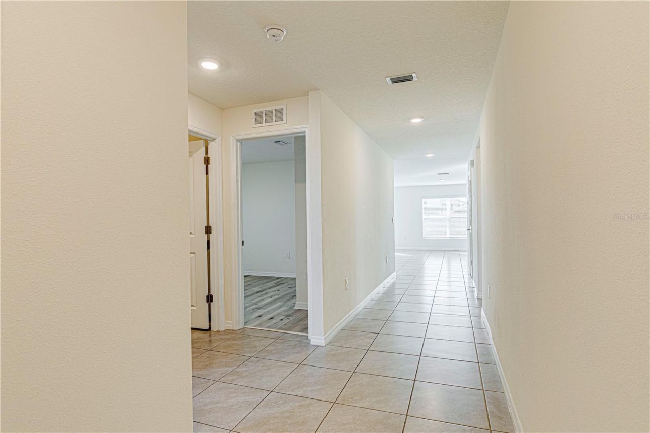 34026 Soaring Bamboo Path , Wesley Chapel, FL 33543 Photo