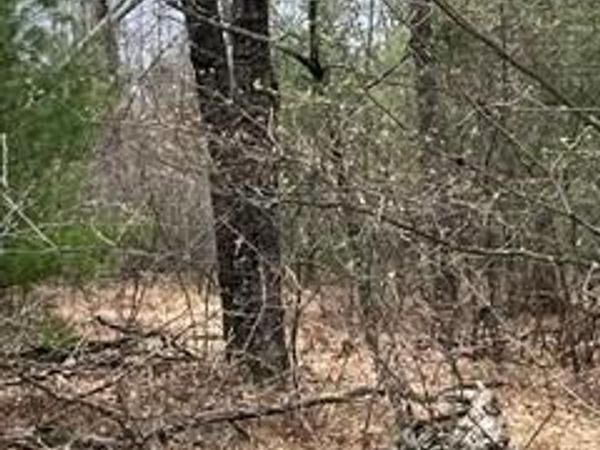 000-302 Otter Trail, Moffatt Twp, MI 48610