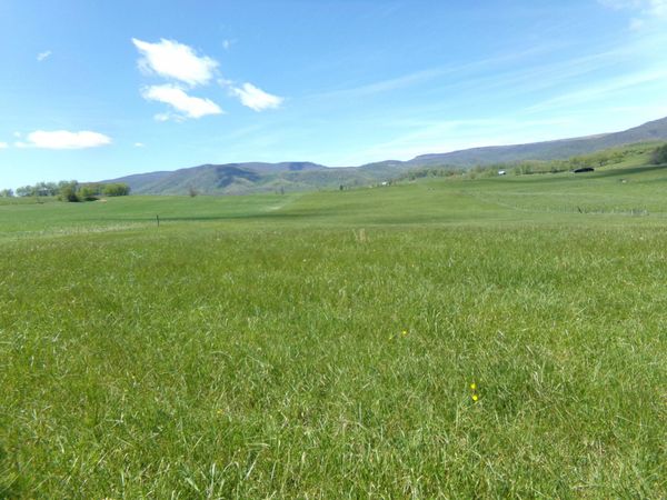 Friars Hill Rd, Trout, WV 24991