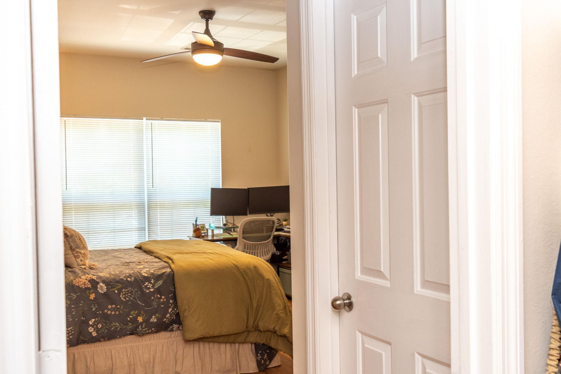 700 Daniel Ellis Drive Photo 42