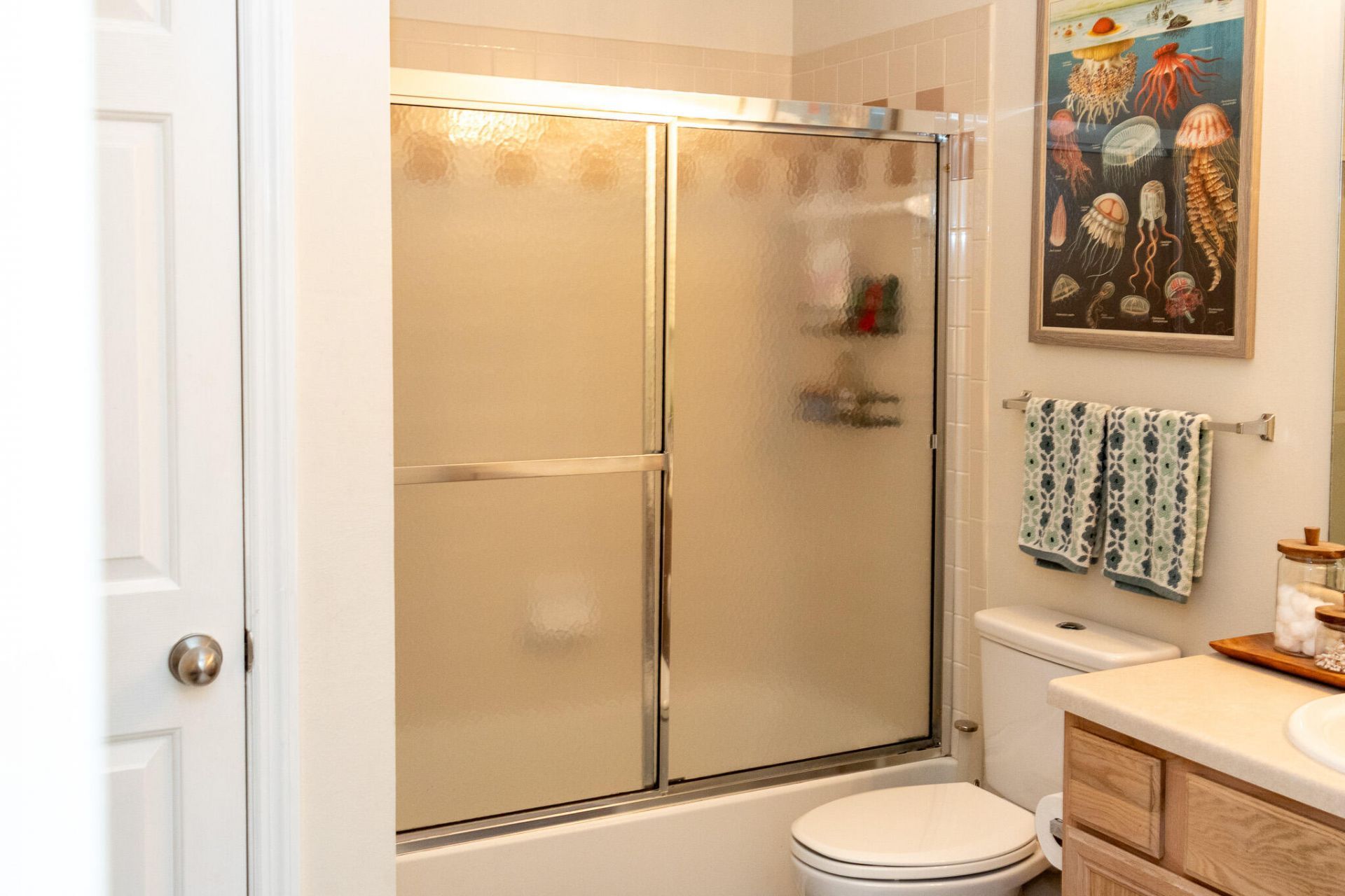 700 Daniel Ellis Drive Photo 47