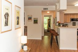 700 Daniel Ellis Drive photo 4