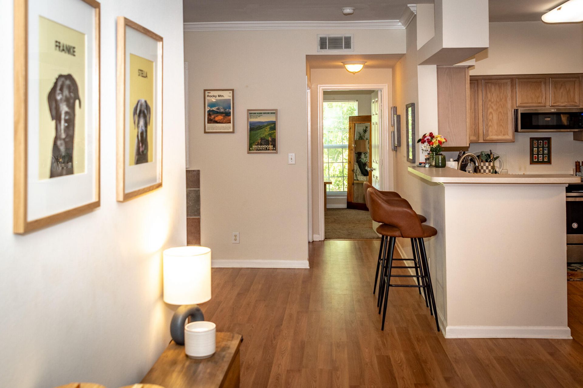 700 Daniel Ellis Drive Photo 6