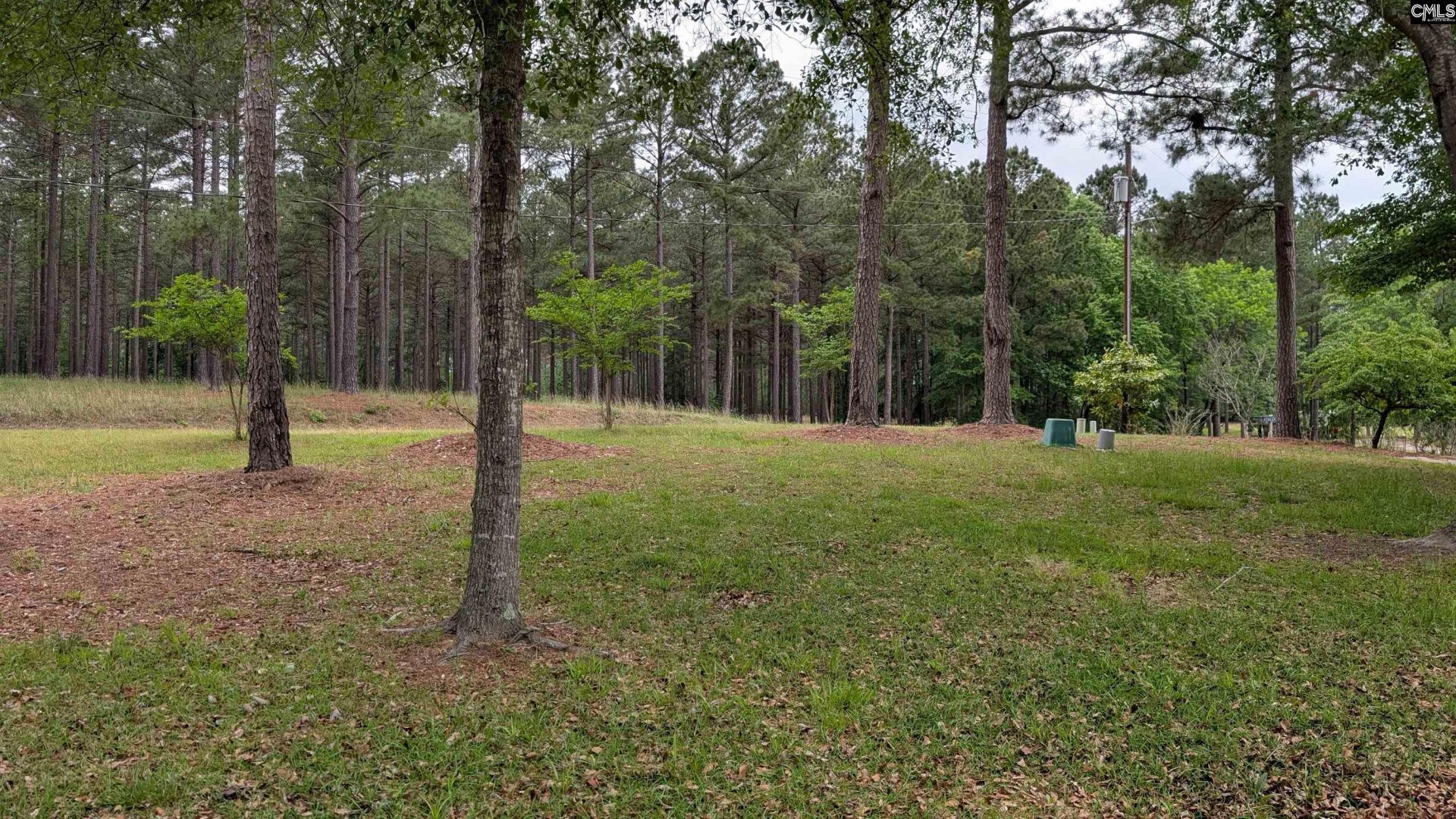 829 Rocky Point Circle  Photo 62