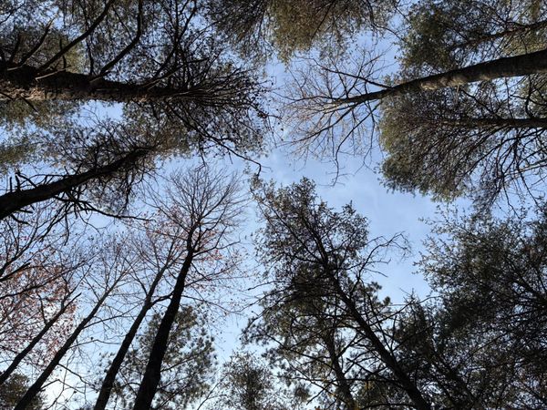 0 Bootleg Bend, Guild, TN 37340