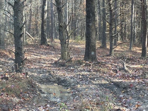 0 Bootleg Bend , Guild, TN 37340