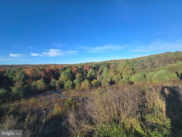 4081 SCOOTAC ROAD, BEECH CREEK, PA 16822