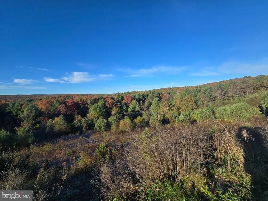 4081 Scootac Road , Beech Creek, PA 16822 Main Photo