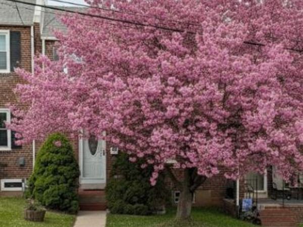 1407 BEECH STREET , WILMINGTON, DE 19805