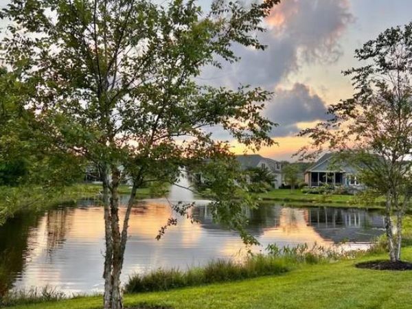 22516 GREBE LANE, OCEAN VIEW, DE 19970