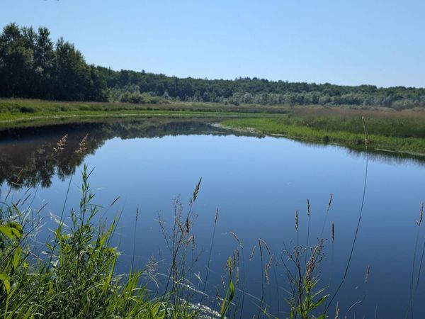 TBD Cemetery Road, Orr, MN 55771