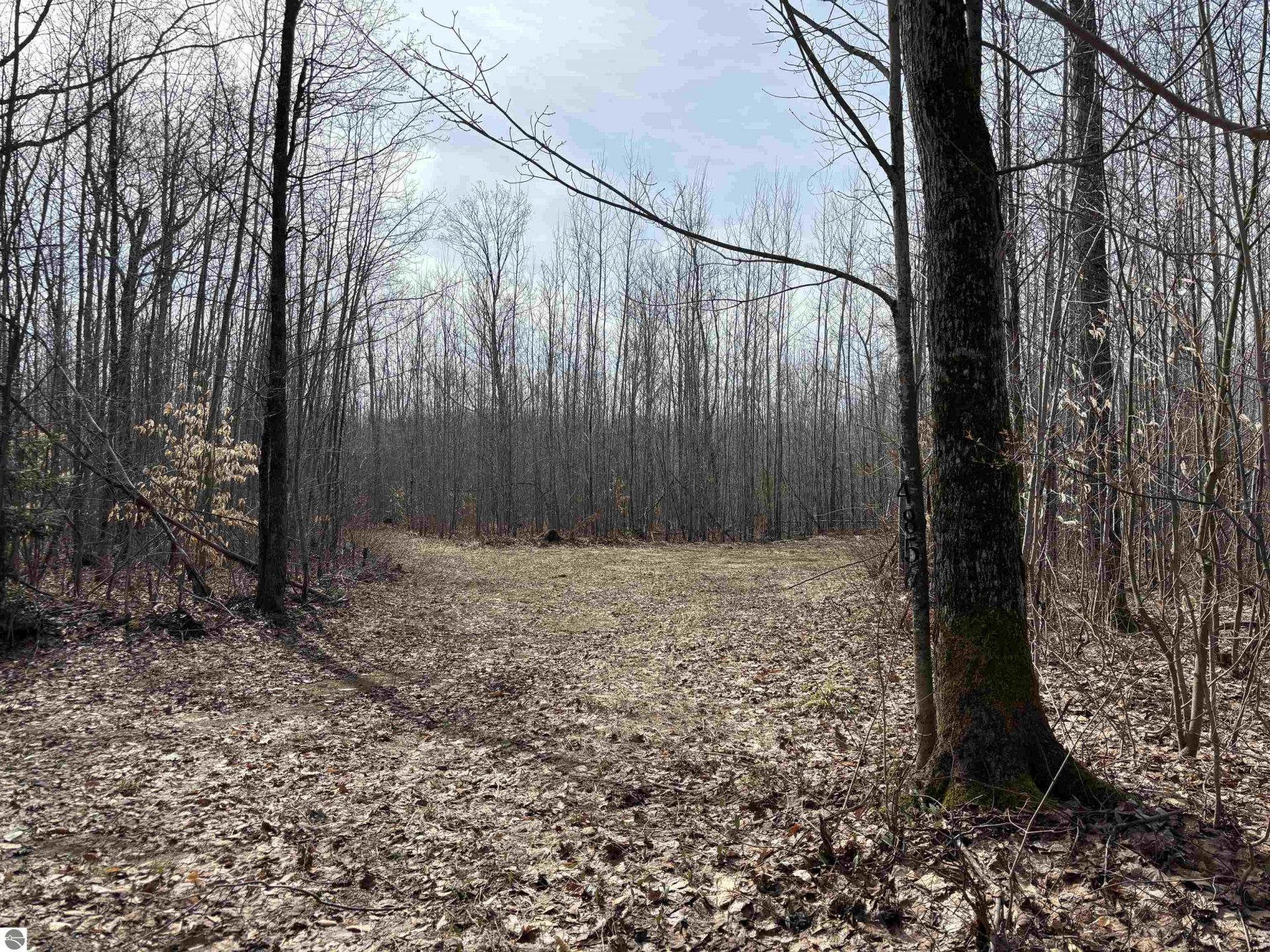 4856 Star Chief Trail, Mancelona, MI 49659 Main Photo