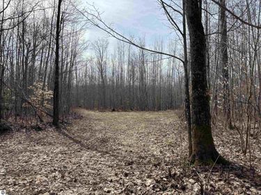 4856 Star Chief Trail, Mancelona, MI 49659