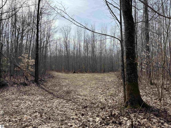 4856 Star Chief Trail, Mancelona, MI 49659